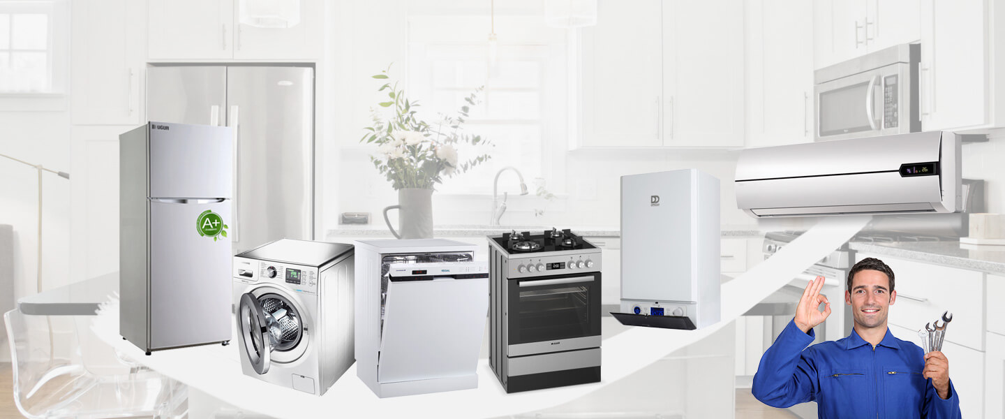 Çanakçı Electrolux Servisi